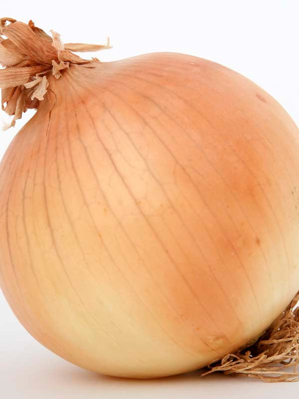 ONION HOJEM