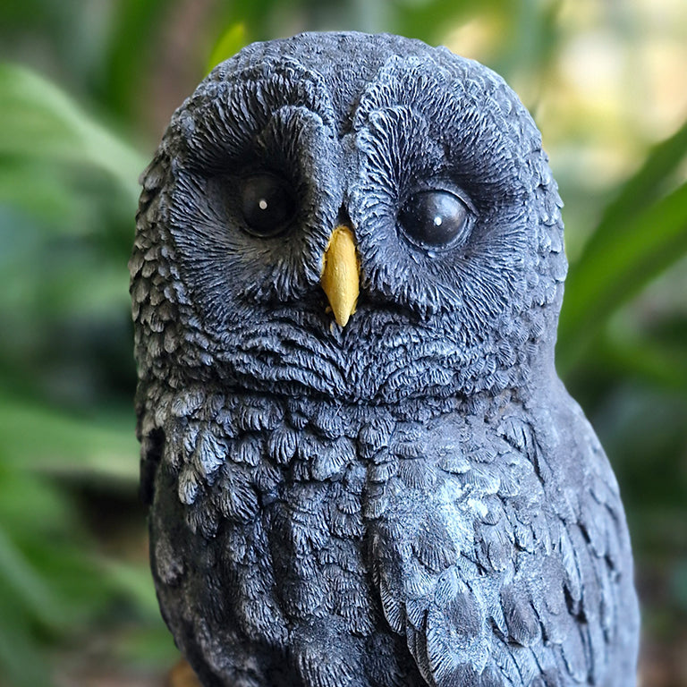 Owls – GARDENING.co.za