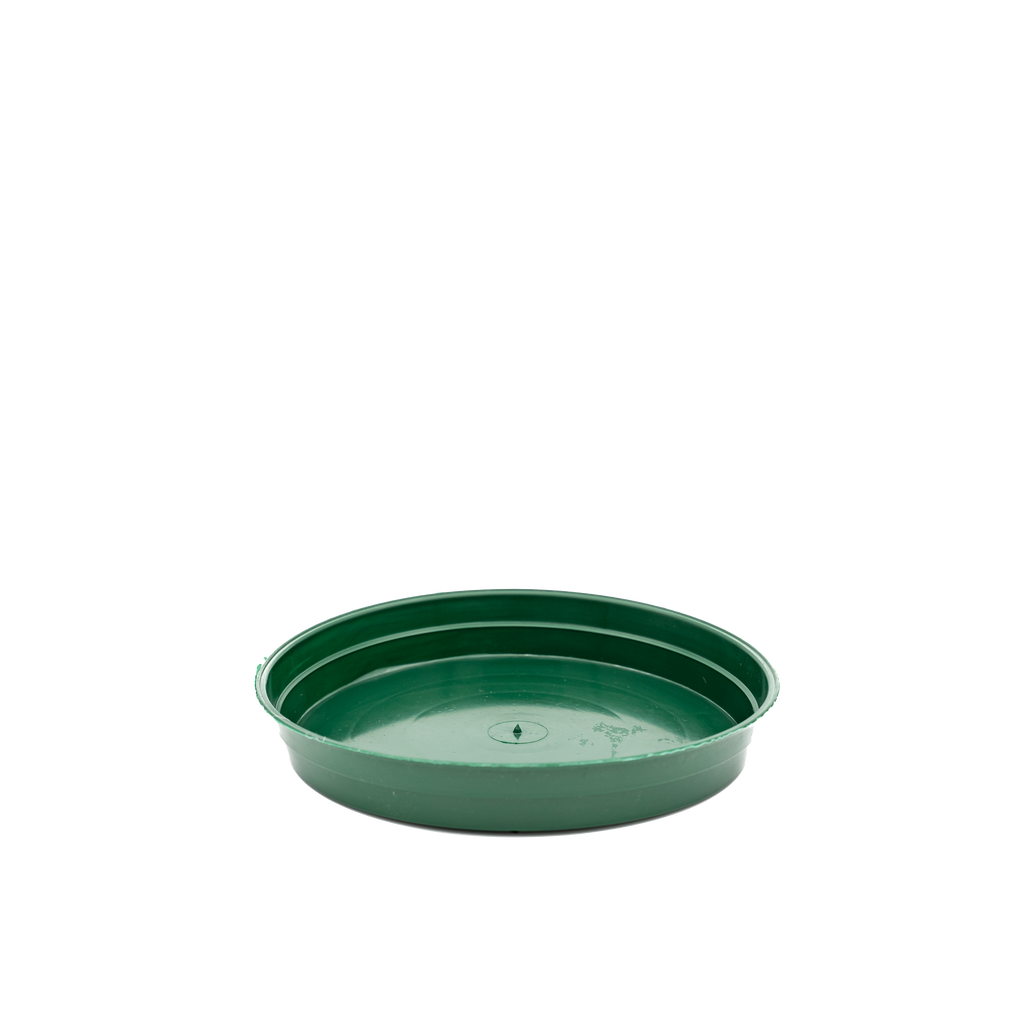 Plastic Pot Saucer - Green