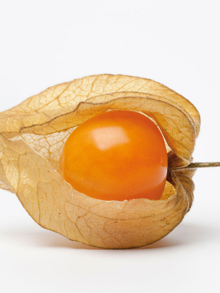 CAPE GOOSEBERRY