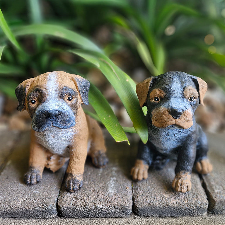 Boxer Buddy Puppies