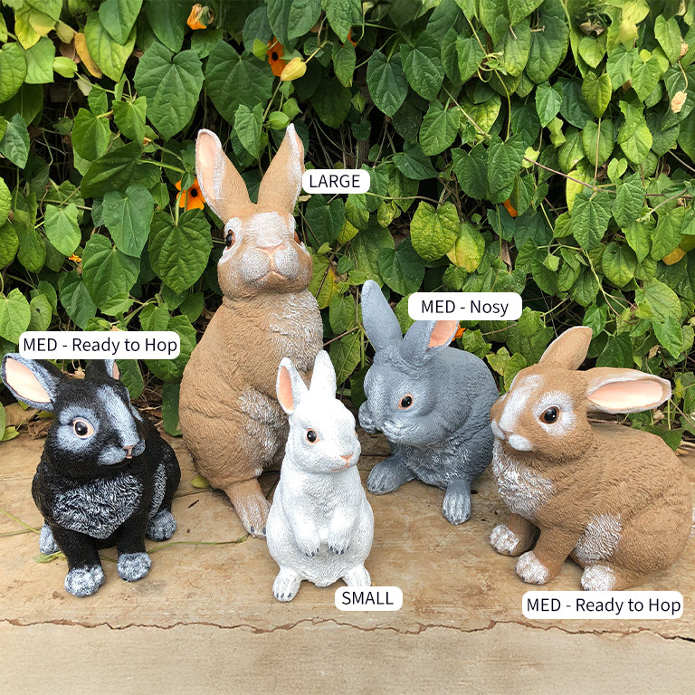 Assorted Rabbits Rabbit, Barnaby the Grand (large) – GARDENING.co.za