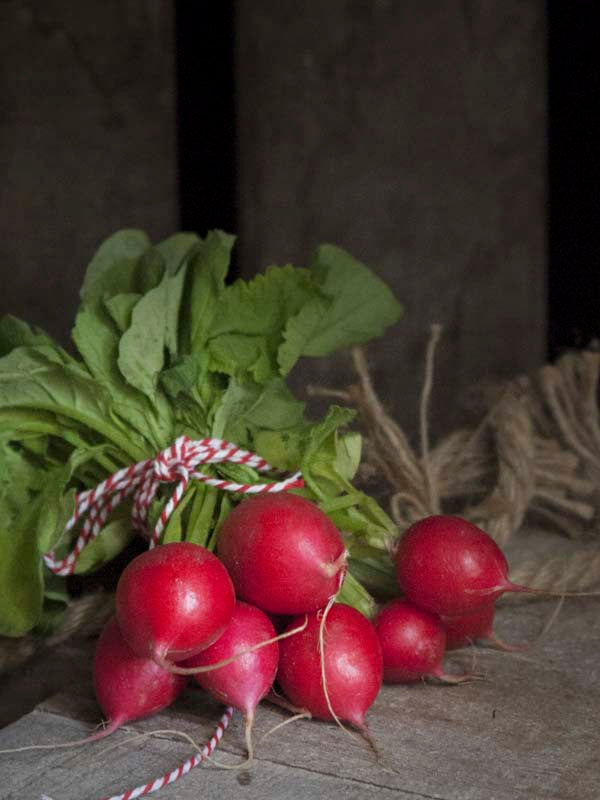 RADISH CHERRY BELLE