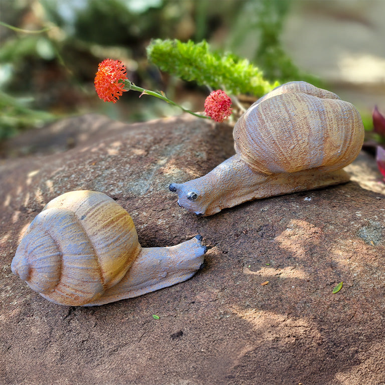 Snails garden decor