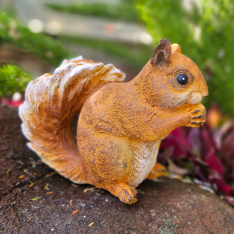 Squirrels - additional view 3