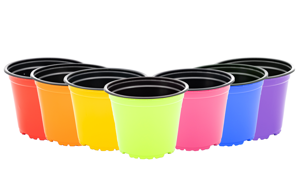 Thermoform Pots 14cm - assorted colours