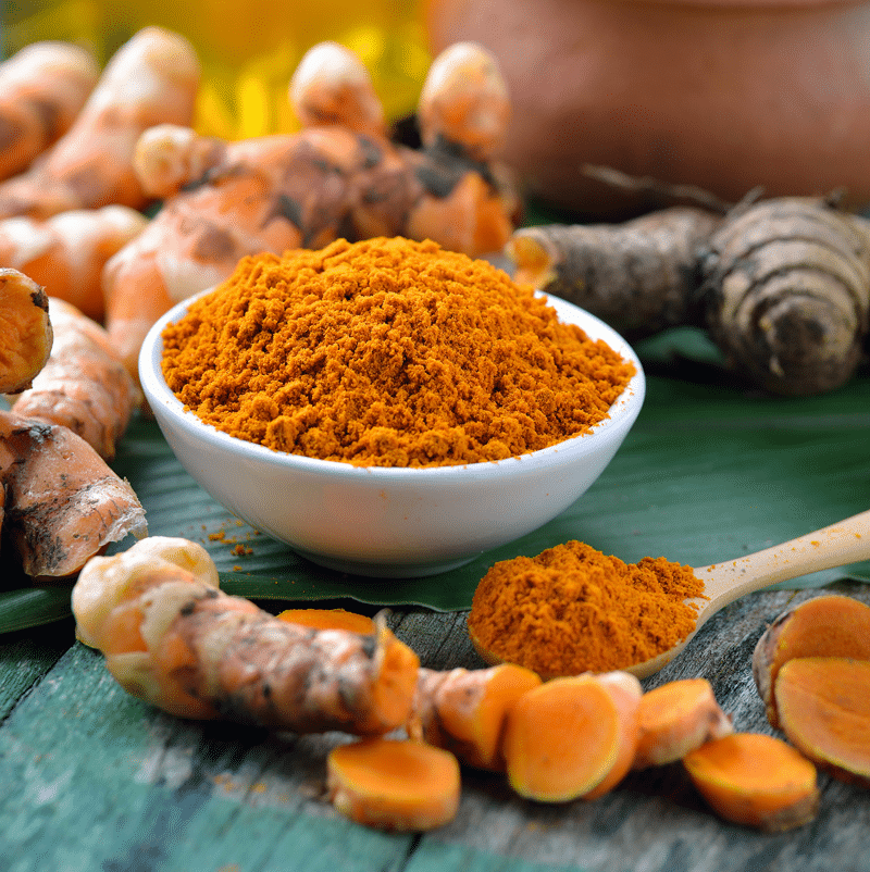 Hadeco Turmeric (Curcuma longa) - 5 bulbs