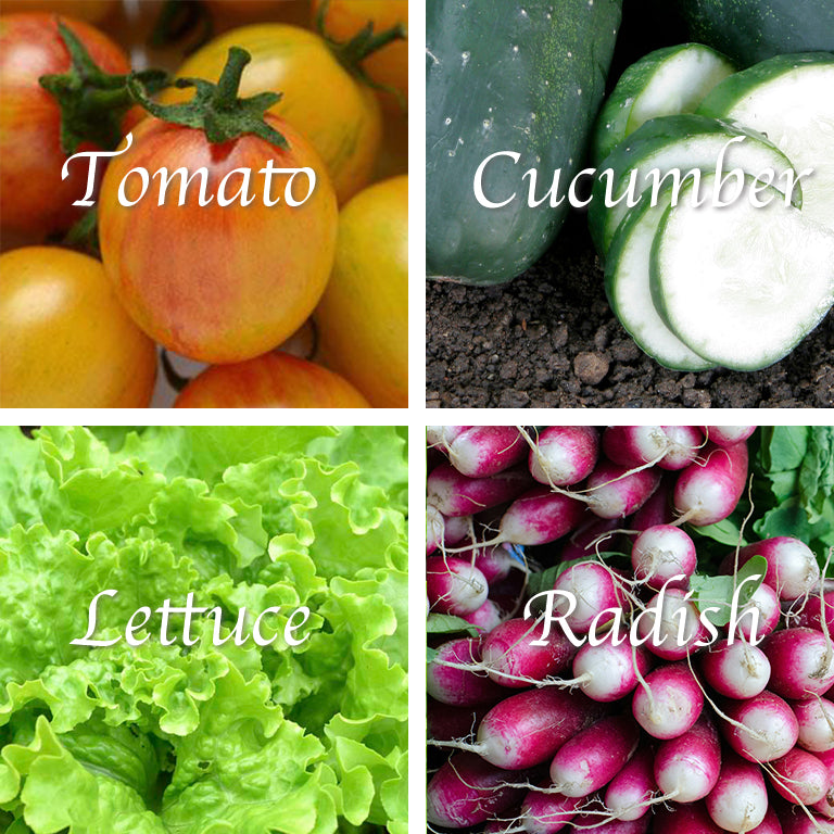 Ubuntuberg Salad Seed Mix