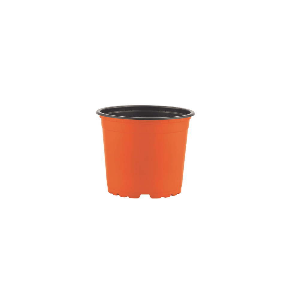 Thermoform Pots 17cm - orange