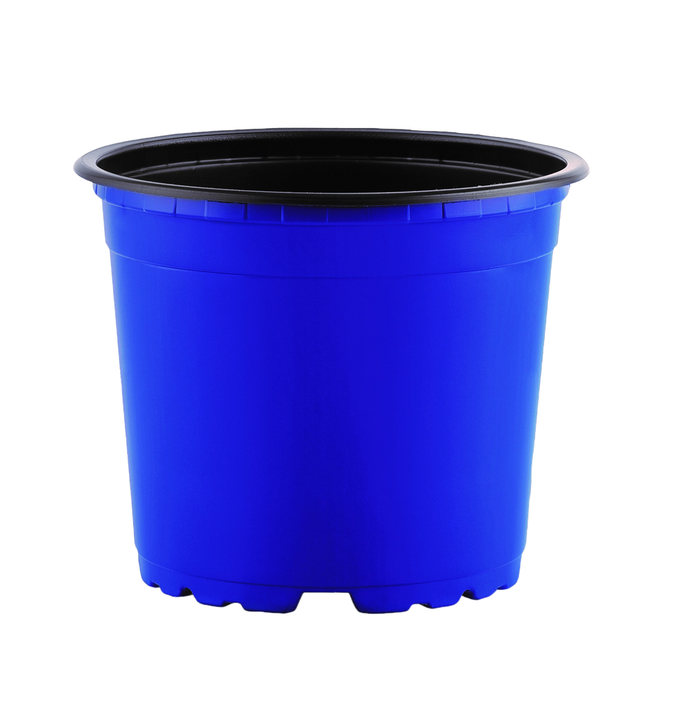 Thermoform Pots 17cm - blue