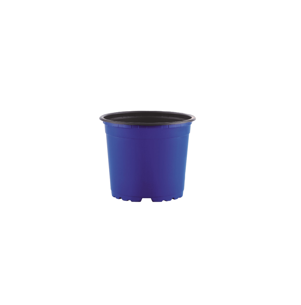 Thermoform Pots 14cm - blue