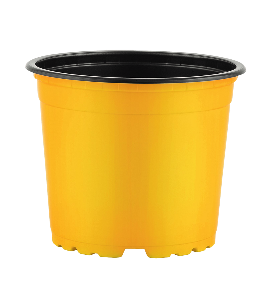 Thermoform Pots 17cm - yellow