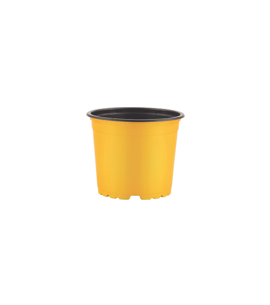 Thermoform Pots 14cm - yellow