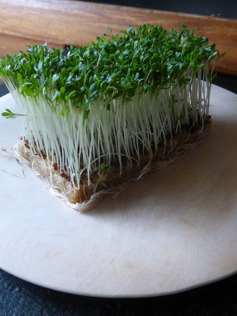 CRESS GARDEN COMMON