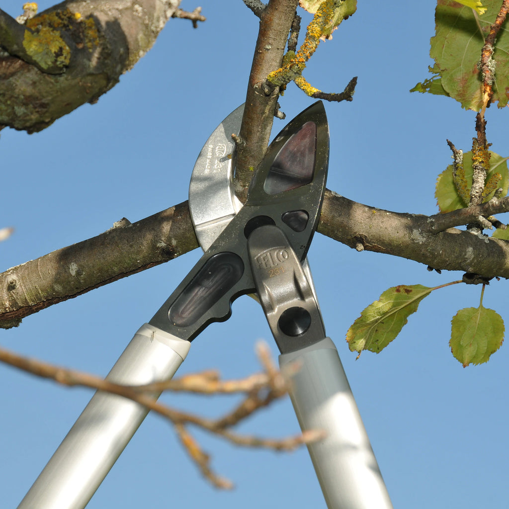 Loppers – GARDENING.co.za