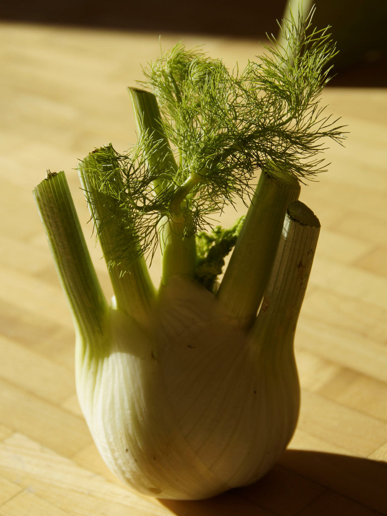 FENNEL SWEET FLORENCE