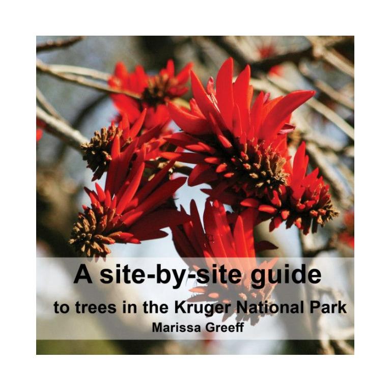 A site-by-site guide to trees in the Kruger National Park-GARDENING.co.za