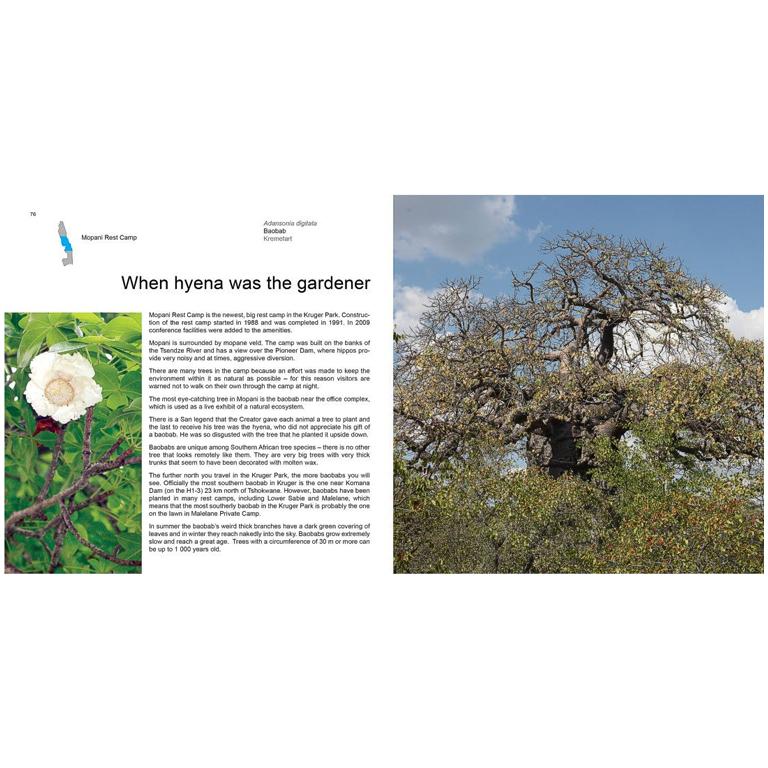 A site-by-site guide to trees in the Kruger National Park-GARDENING.co.za