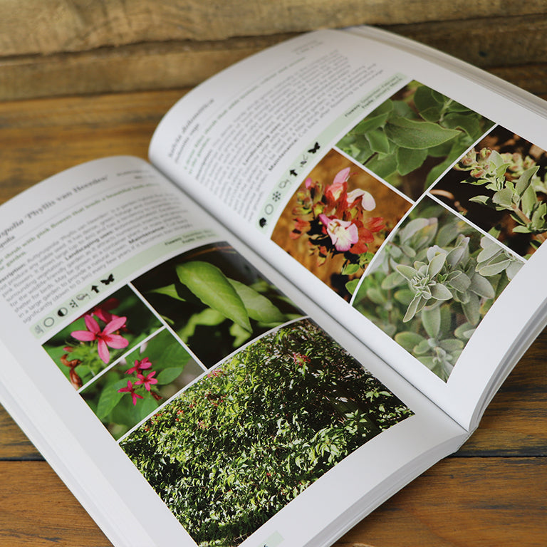 Gardening Books - Gardener's Guide To Indigenous Garden Plants Of Southern Africa