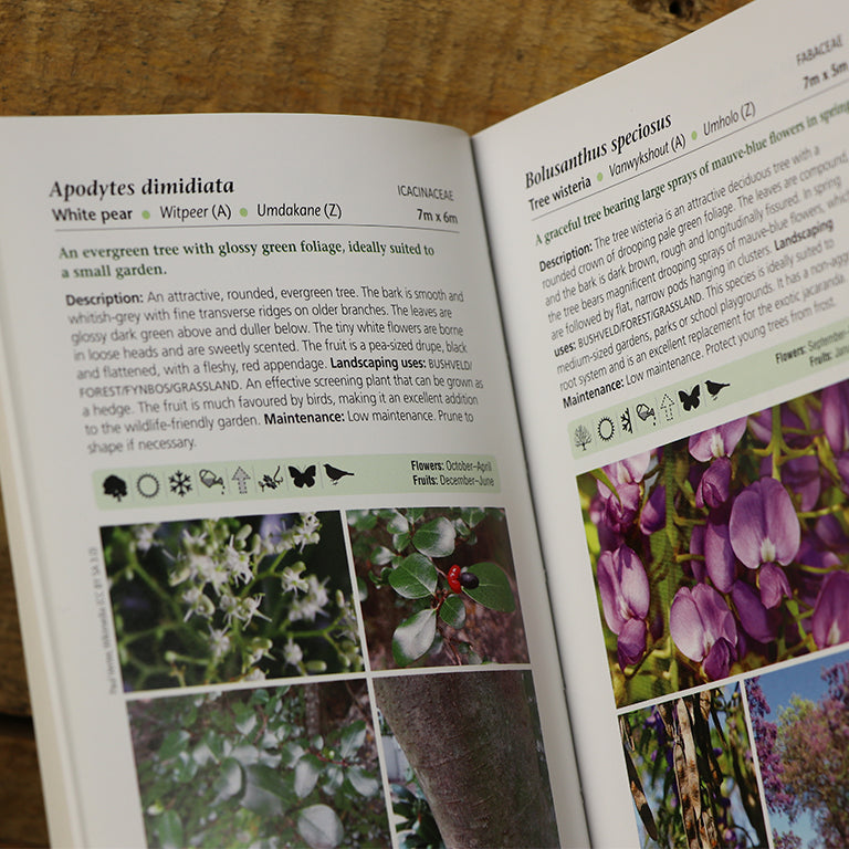 Gardening Books - Gardener's Guide To Indigenous Garden Plants Of Southern Africa