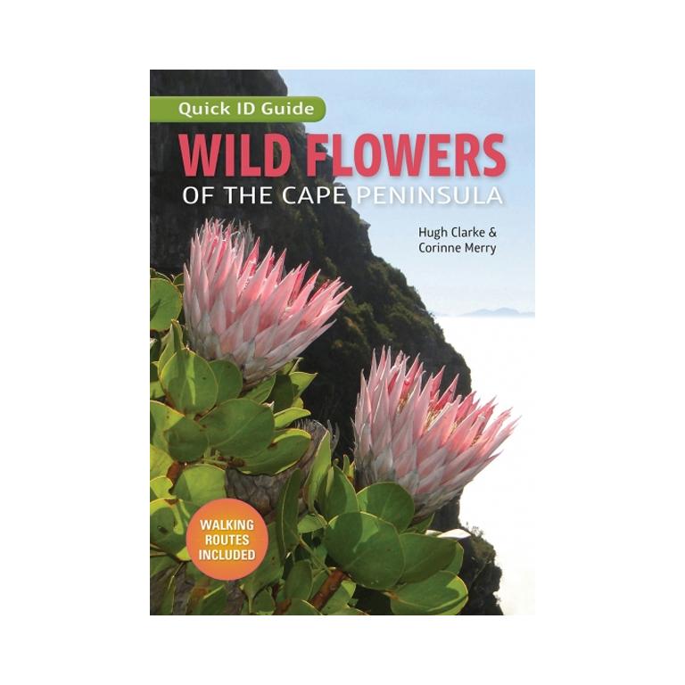 Quick ID Guide: Wild Flowers of the Cape Peninsula-GARDENING.co.za