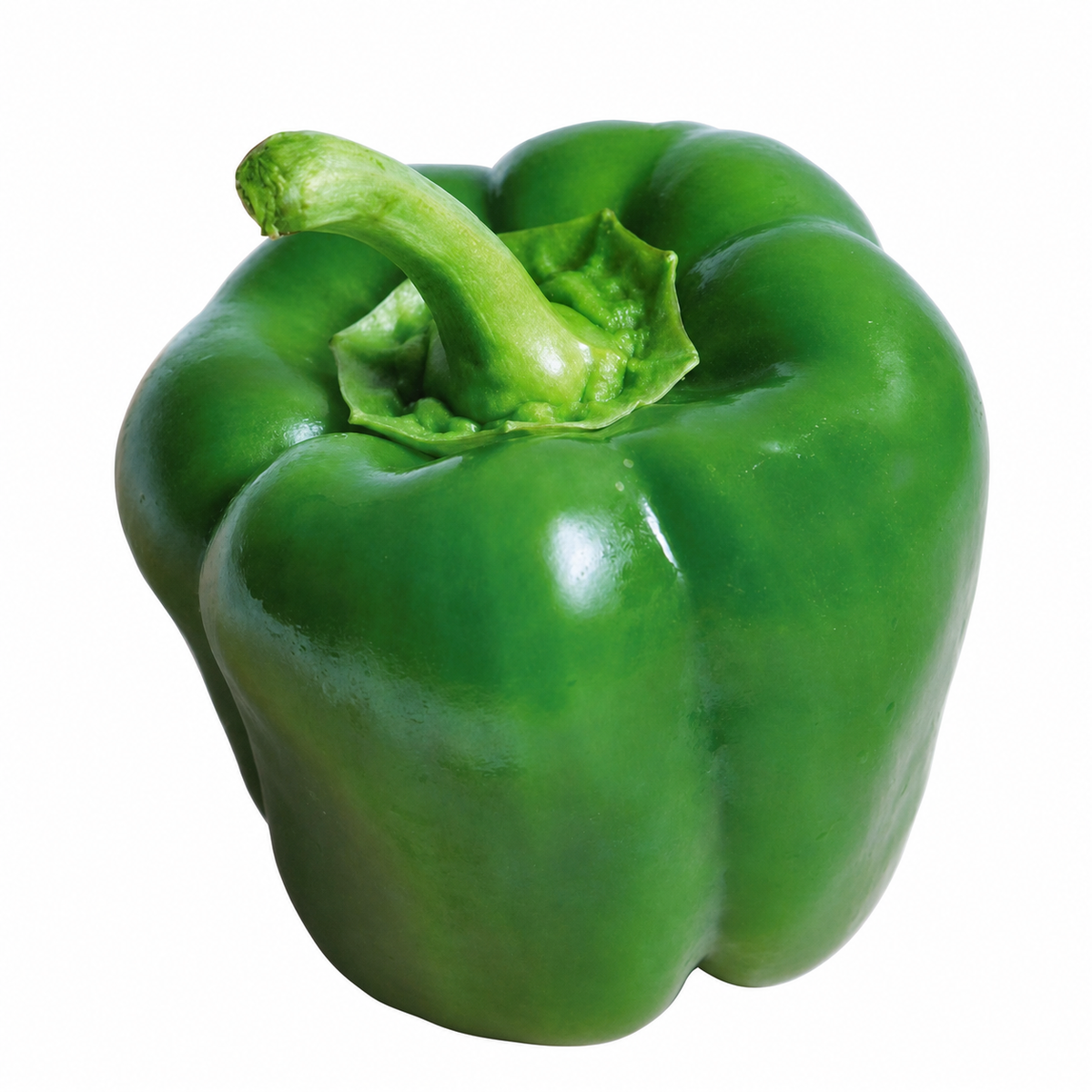 CAPSICUM CALIFORNIA WONDER