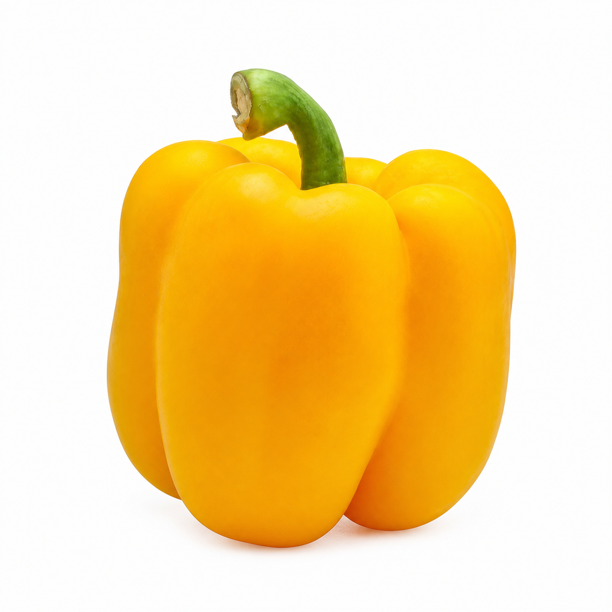 CAPSICUM KAVANGO