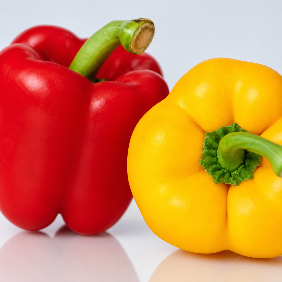Capsicum Mini Belle Mixed Seeds - Ubuntuberg Seeds product image