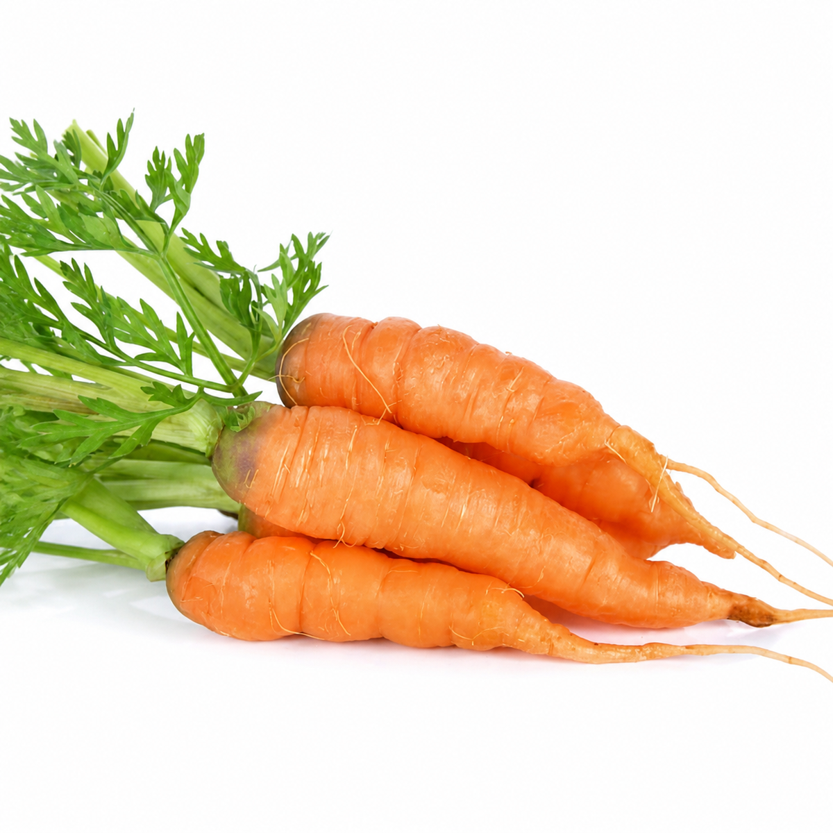 CARROT AMSTERDAM