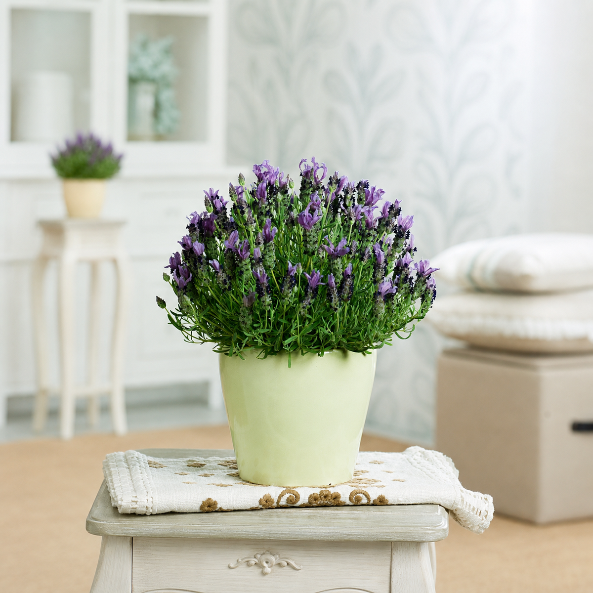 Lavender Bandera Deep Purple