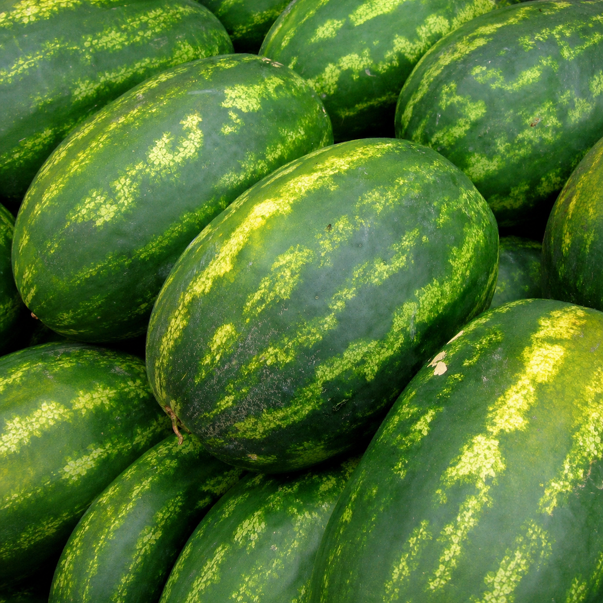 WATERMELON ALL SWEET
