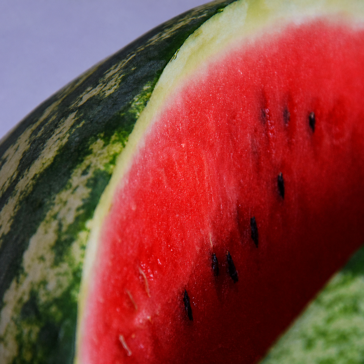 WATERMELON CONGO