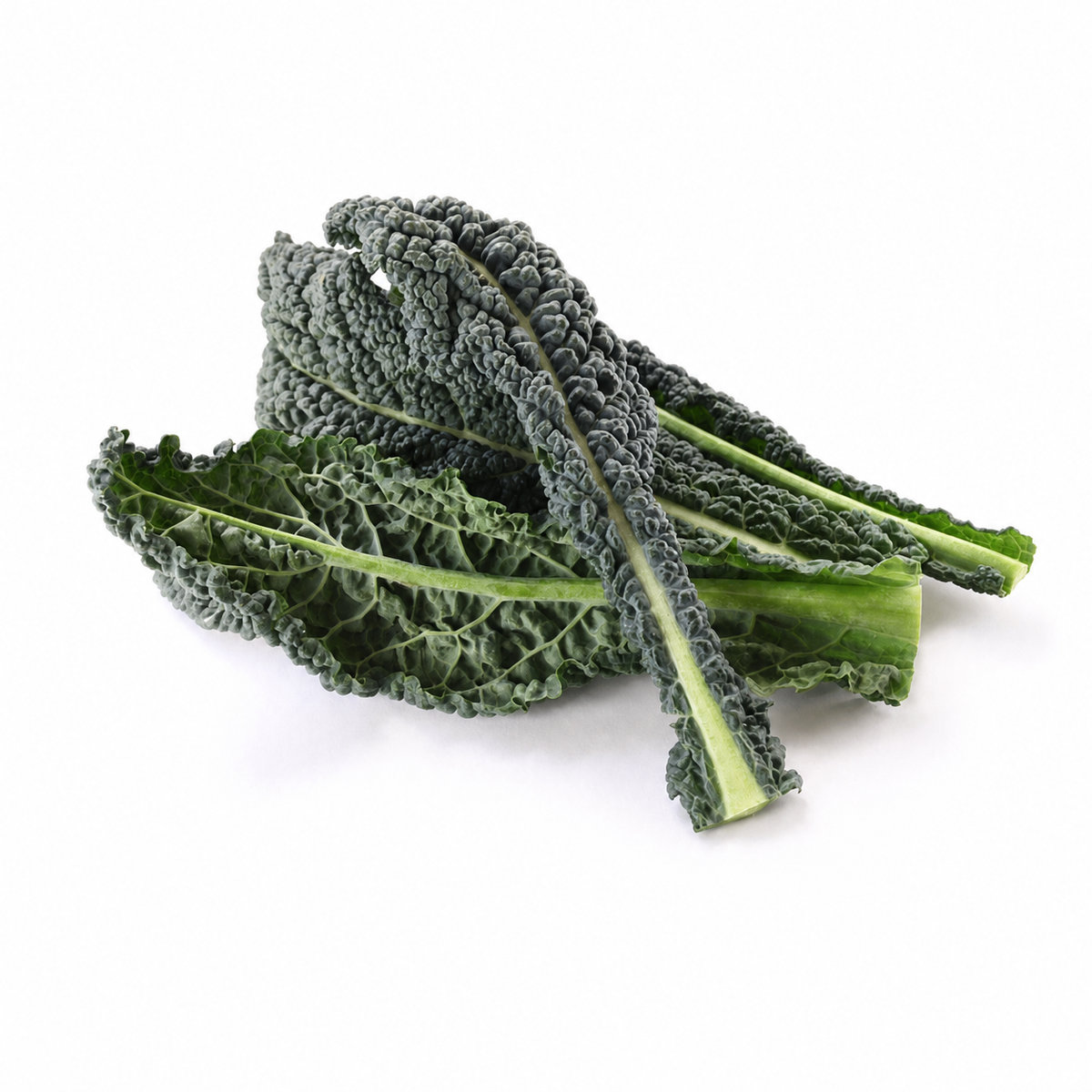 KALE VATES BLUE CURLED