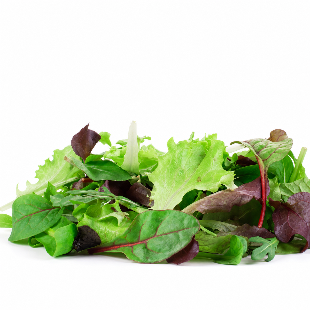 Lettuce Mesclun Mix Seeds - Ubuntuberg Seeds product image