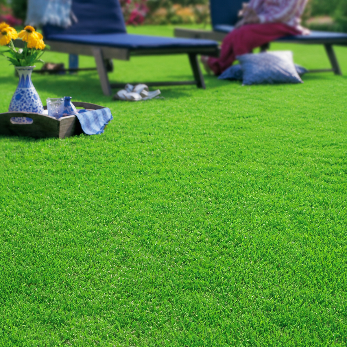 Lm Grass (Berea Grass)