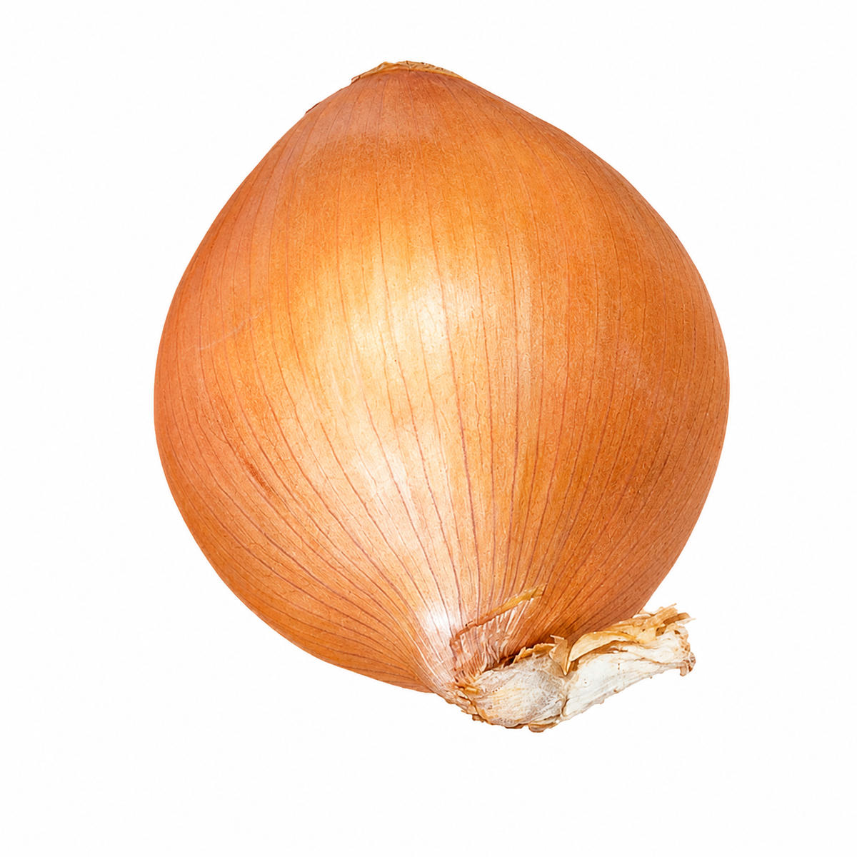ONION AUSTRALIAN BROWN