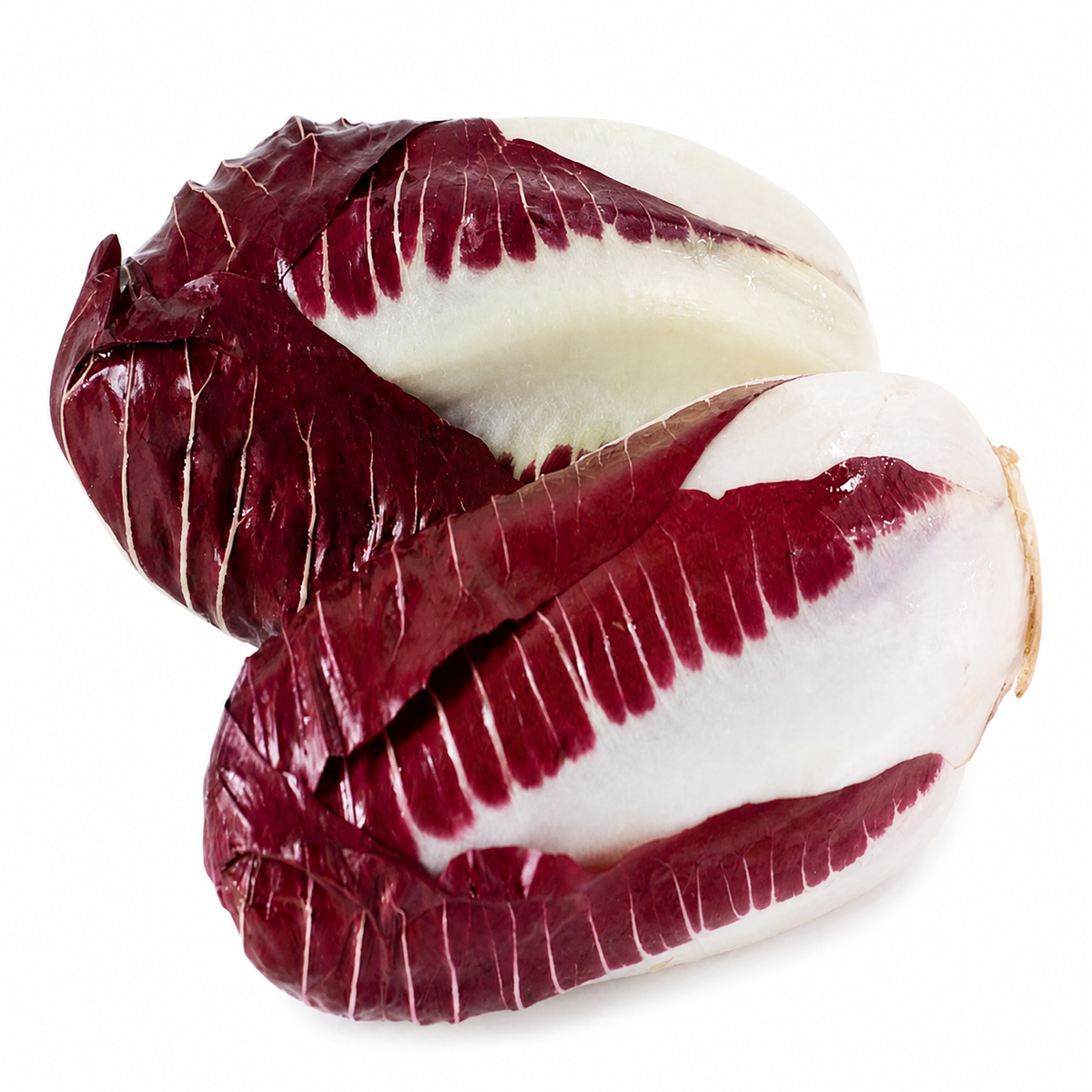 RADICCHIO ROSSA TREVISO RED