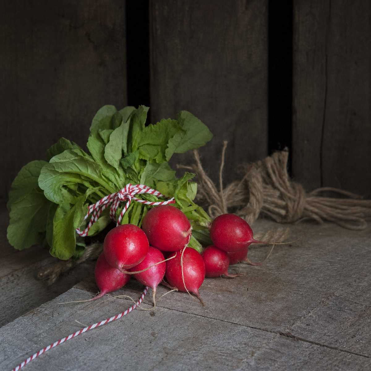 RADISH CHERRY BELLE