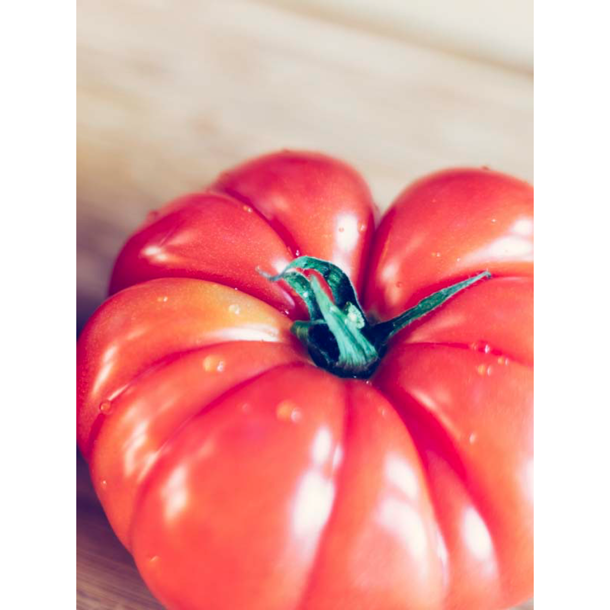 Large red Oxheart tomato fruit