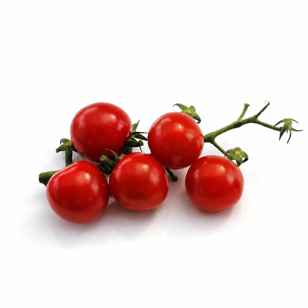 Tomato Principe Borghese on the vine