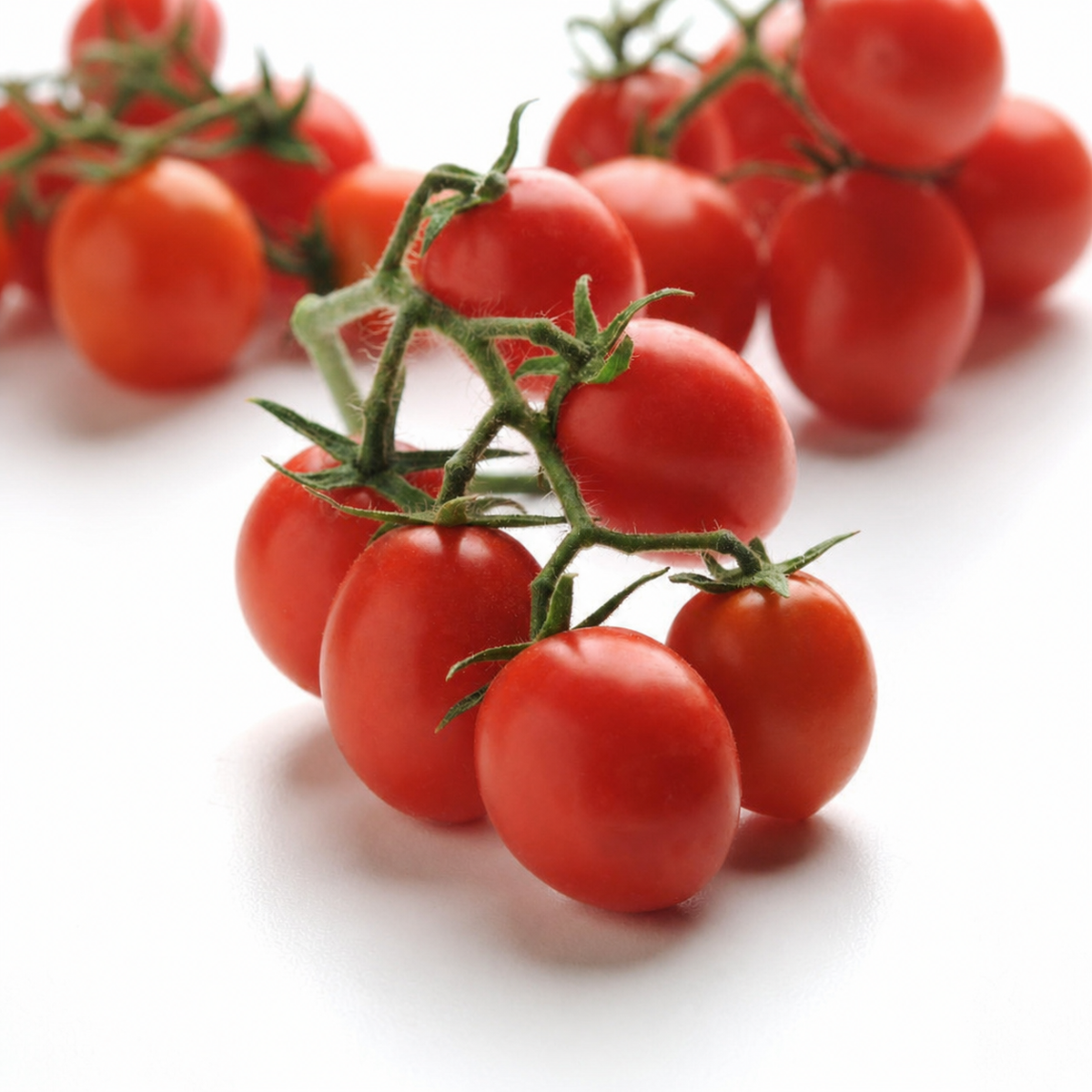 Tomato Topsy Tom F1 Seeds - Ubuntuberg Seeds product image