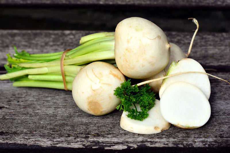 BEETROOT WHITE ALBINO