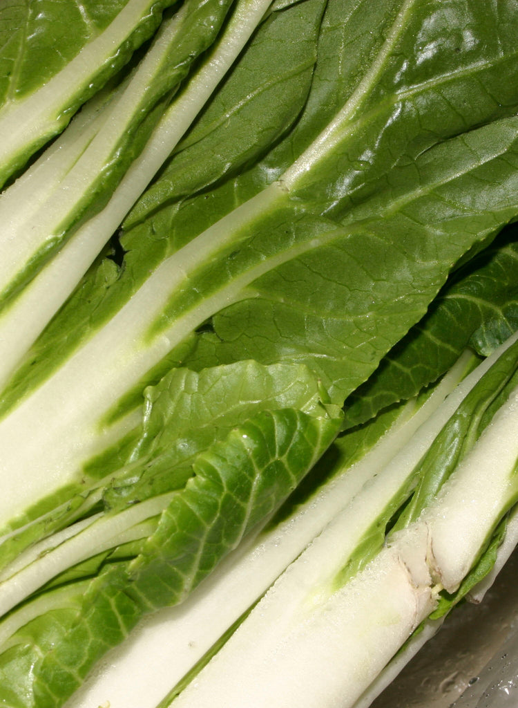 PAK CHOI WHITE STEMMED