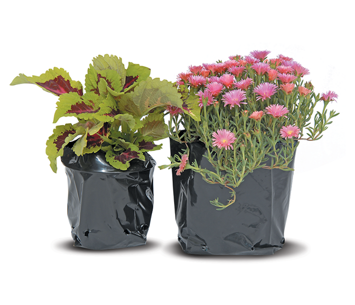 Ubuntuberg Nursery Plant Bags
