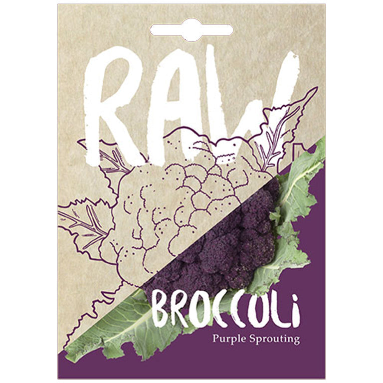 Broccoli Purple Sprouting Seeds-GARDENING.co.za