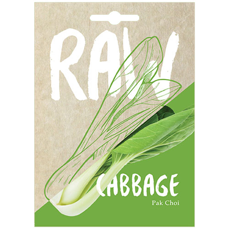 Cabbage Pak Choi Seeds-GARDENING.co.za