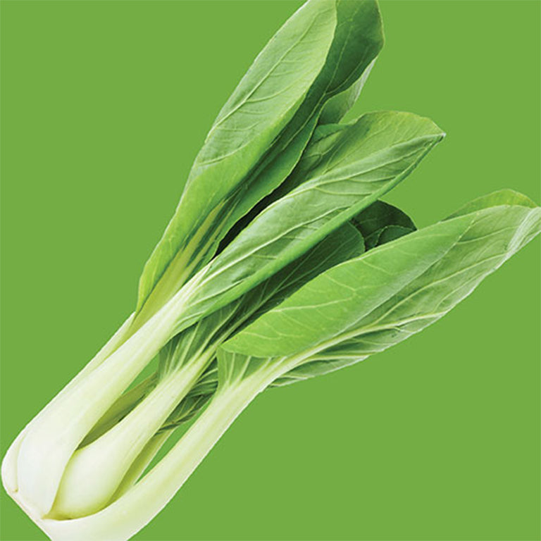 Cabbage Pak Choi Seeds-GARDENING.co.za