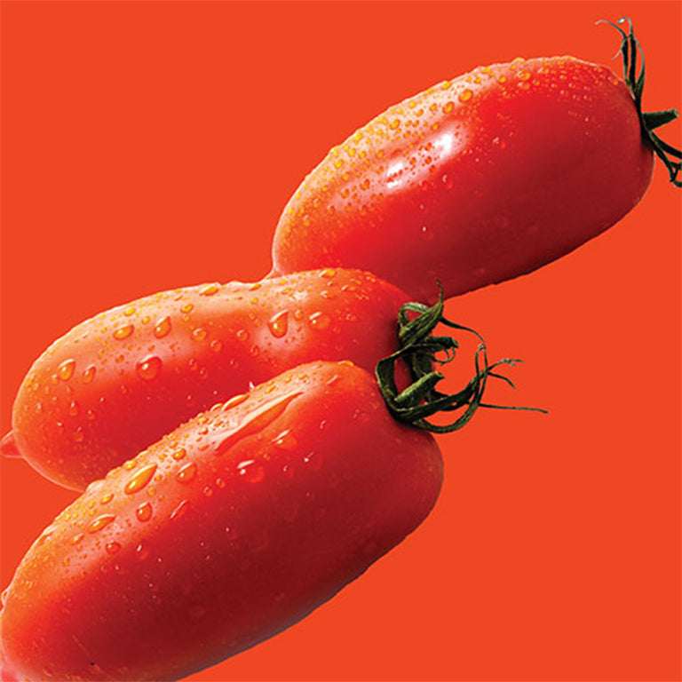 Tomato San Marzano Seeds-GARDENING.co.za