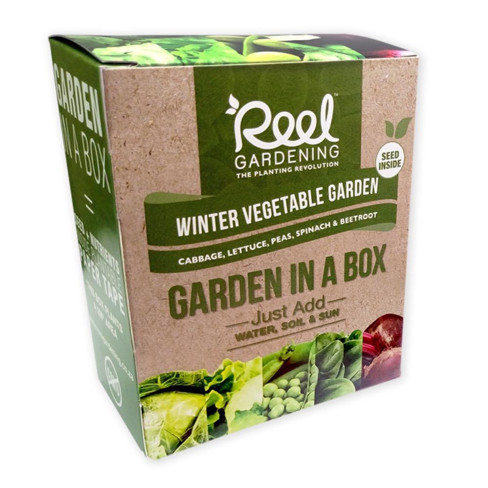 Winter Vegetable Garden In a Box-GARDENING.co.za
