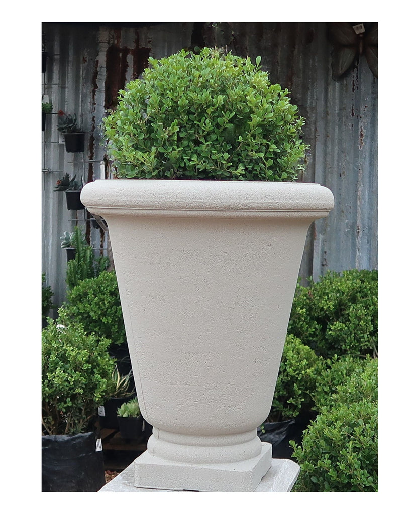 Bell Urn planter by Japi,  planted with a buxus ball raised up on a plinth. With a background  of foliage. 